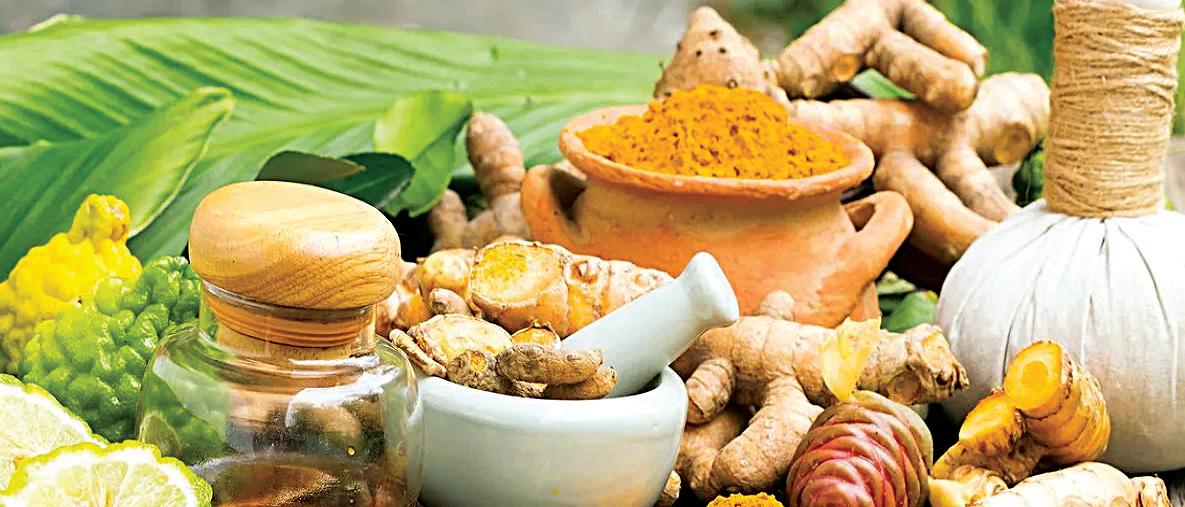 Ayush Ministry announces SPARK-4.0 to nurture young ayurveda researchers
